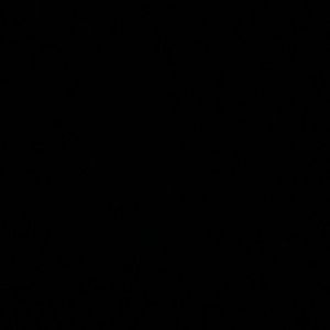 Meet your Posher, Will